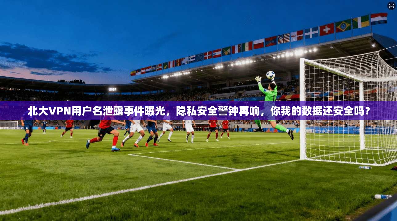 北大VPN用户名泄露事件曝光，隐私安全警钟再响，你我的数据还安全吗？