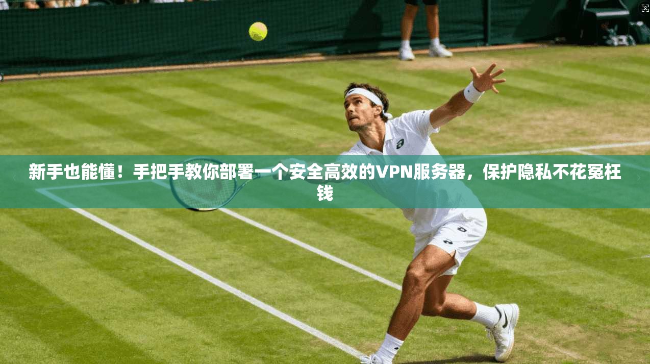 新手也能懂！手把手教你部署一个安全高效的VPN服务器，保护隐私不花冤枉钱