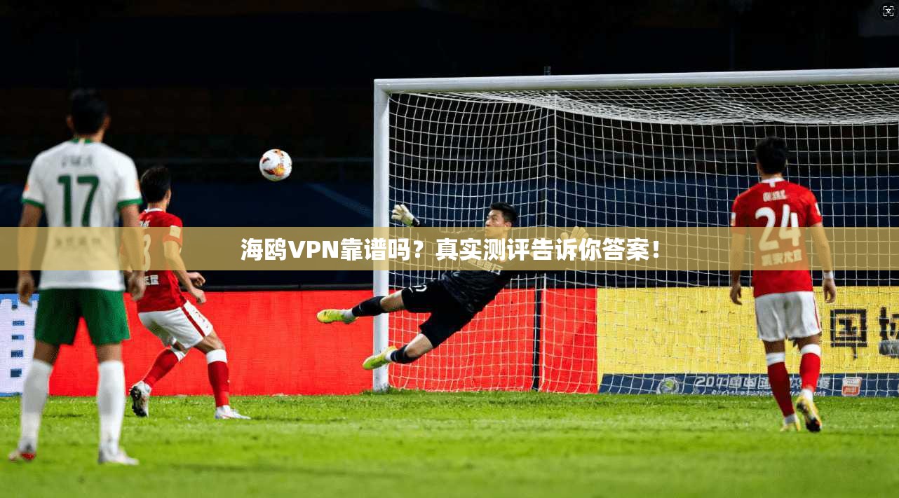 海鸥VPN靠谱吗?真实测评告诉你答案!