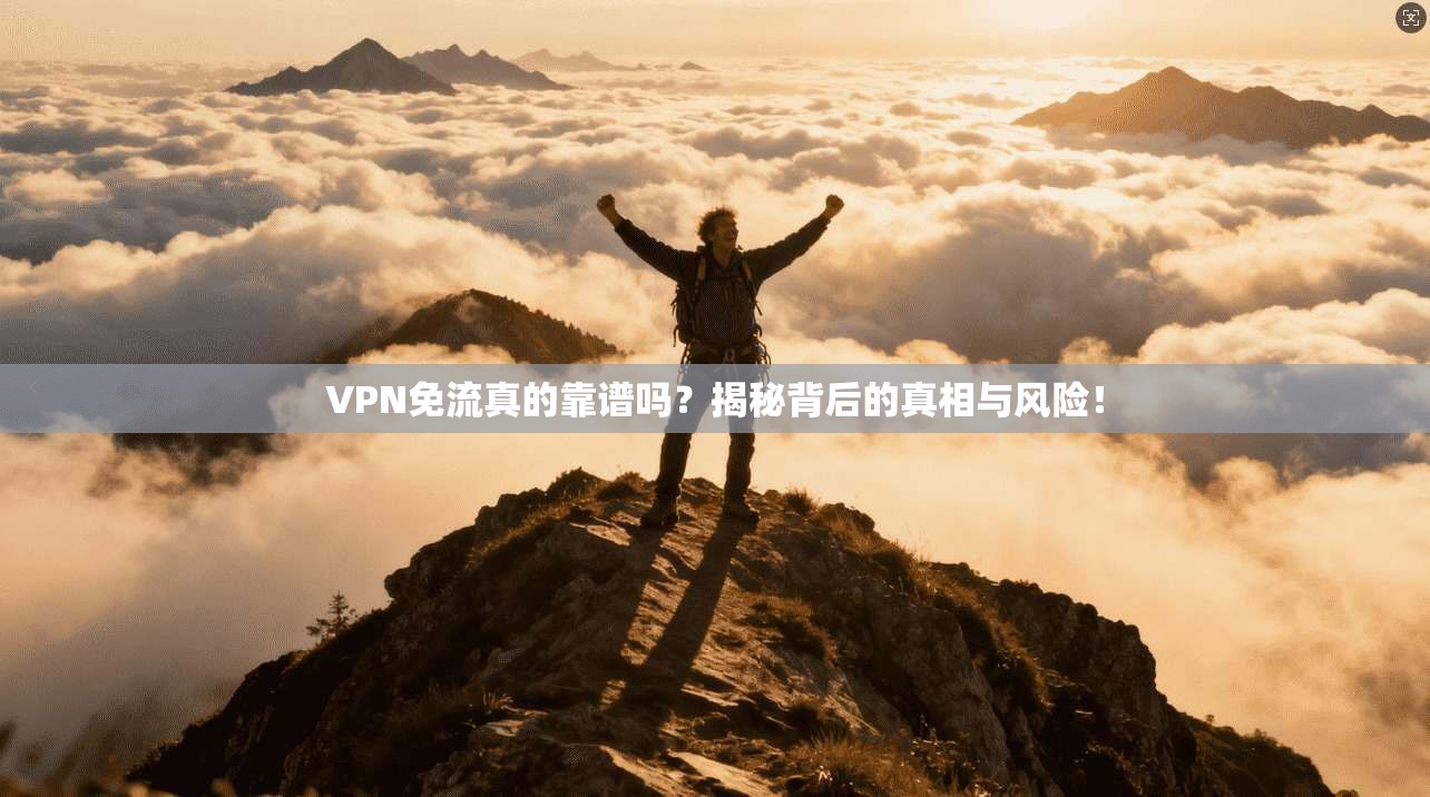 VPN免流真的靠谱吗?揭秘背后的真相与风险!