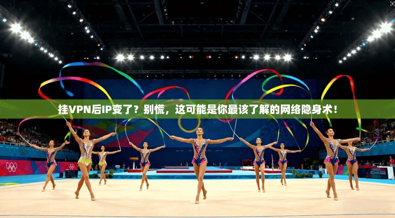 挂VPN后IP变了？别慌，这可能是你最该了解的网络隐身术！