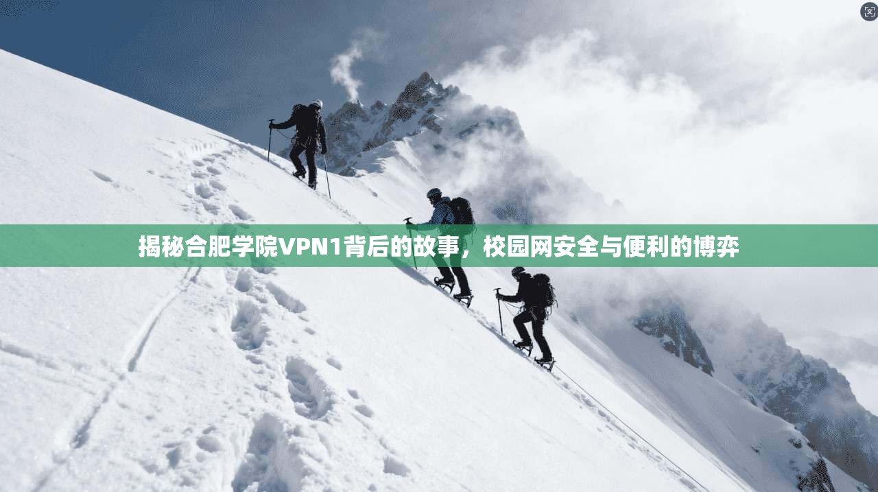 揭秘合肥学院VPN1背后的故事，校园网安全与便利的博弈