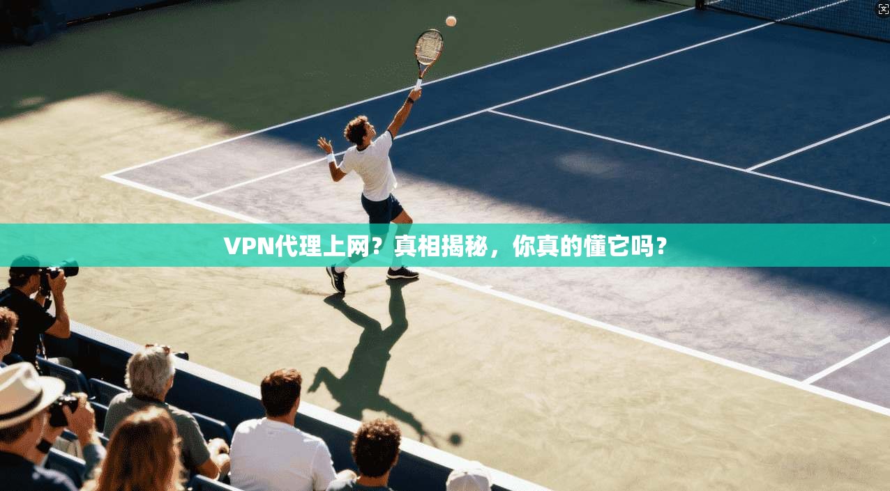 VPN代理上网？真相揭秘，你真的懂它吗？