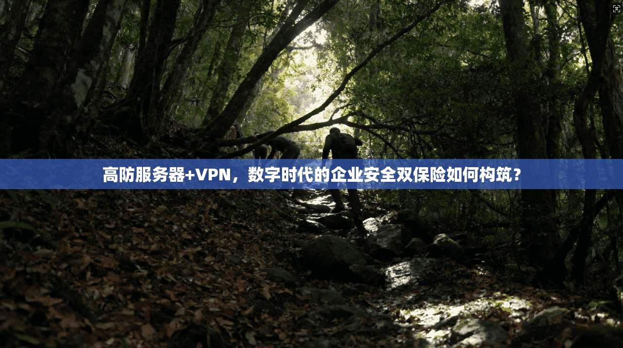 高防服务器+VPN，数字时代的企业安全双保险如何构筑？