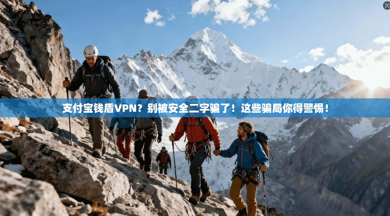 支付宝钱盾VPN？别被安全二字骗了！这些骗局你得警惕！