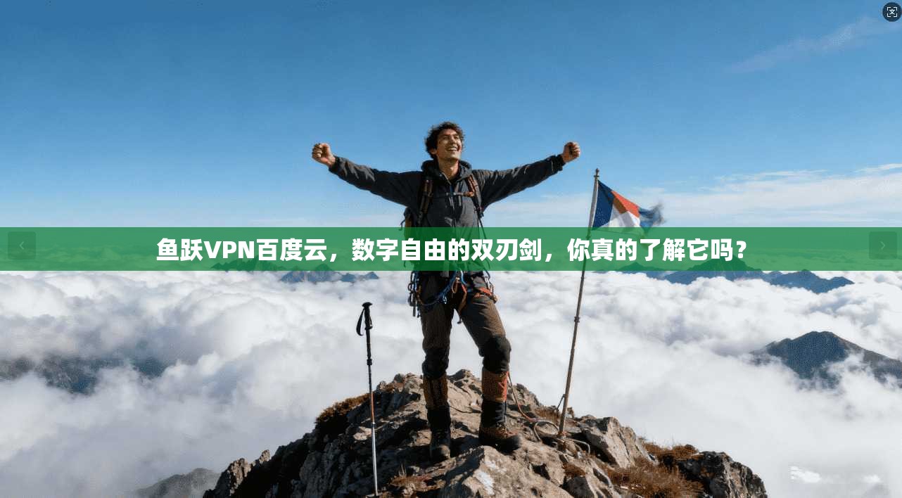鱼跃VPN百度云，数字自由的双刃剑，你真的了解它吗？