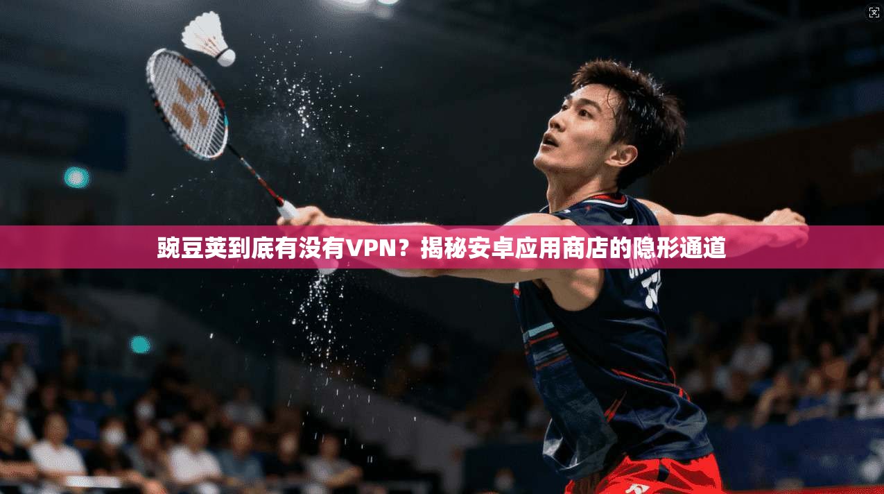 豌豆荚到底有没有VPN？揭秘安卓应用商店的隐形通道