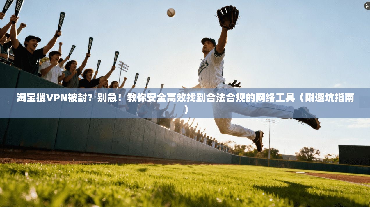 淘宝搜VPN被封？别急！教你安全高效找到合法合规的网络工具（附避坑指南）