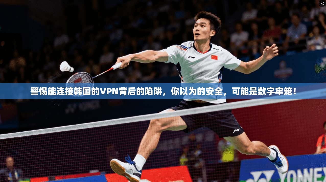 警惕能连接韩国的VPN背后的陷阱，你以为的安全，可能是数字牢笼！