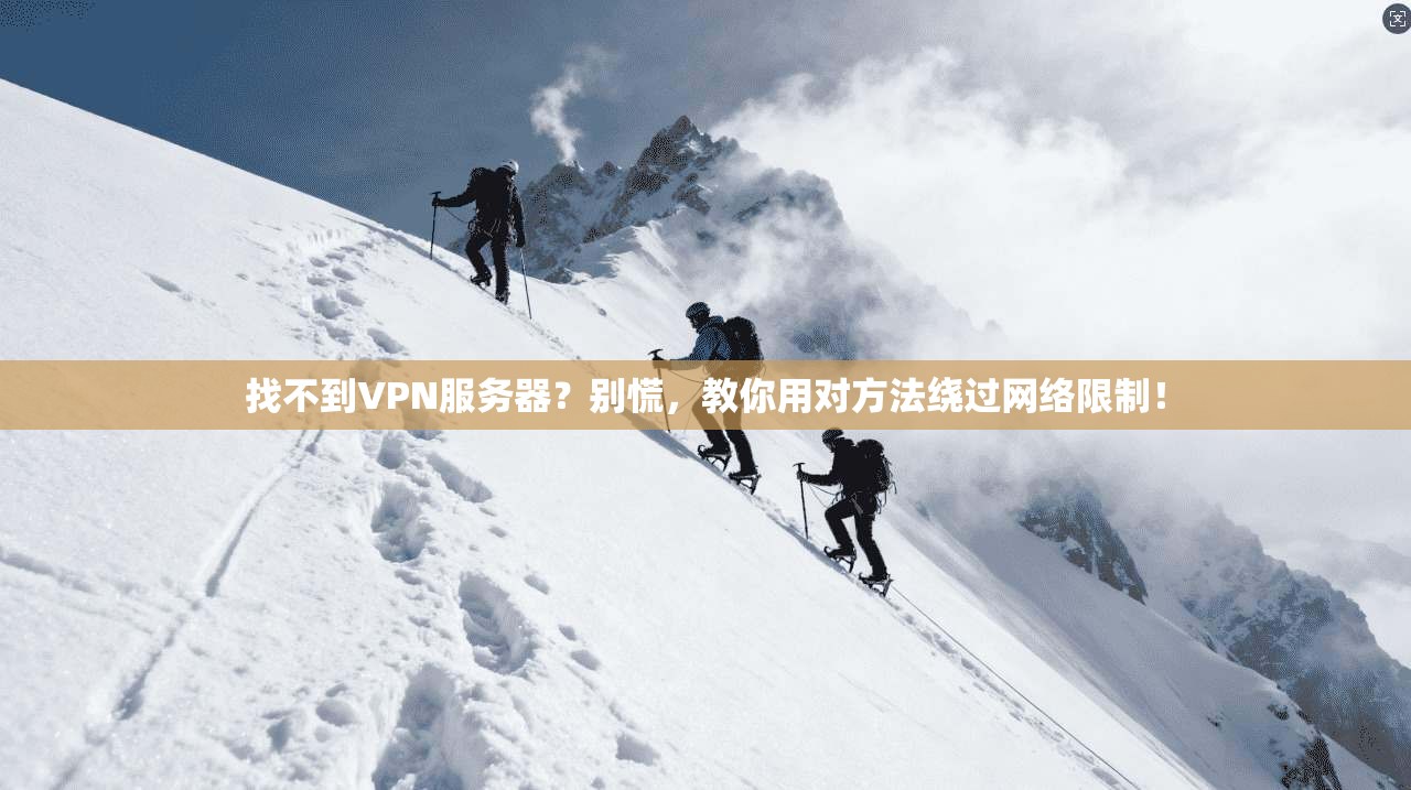 找不到VPN服务器？别慌，教你用对方法绕过网络限制！