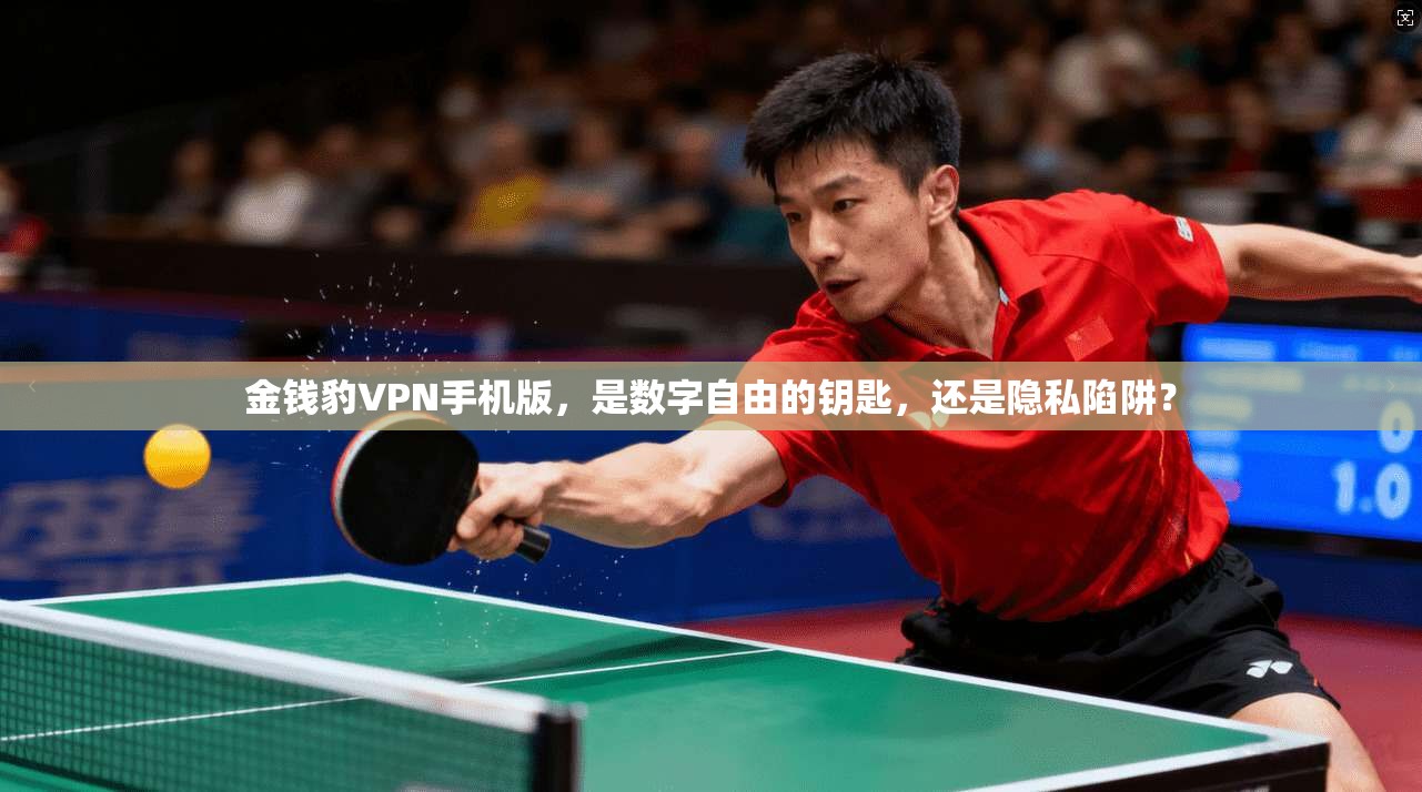 金钱豹VPN手机版，是数字自由的钥匙，还是隐私陷阱？