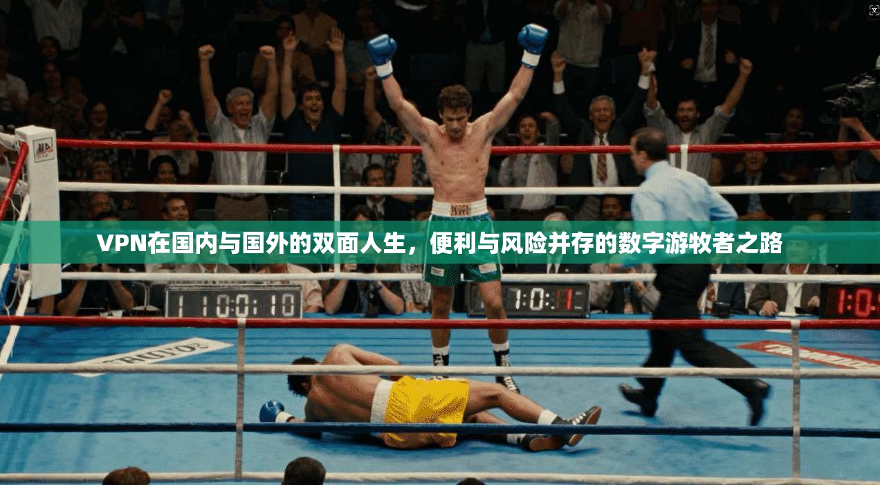 VPN在国内与国外的双面人生，便利与风险并存的数字游牧者之路