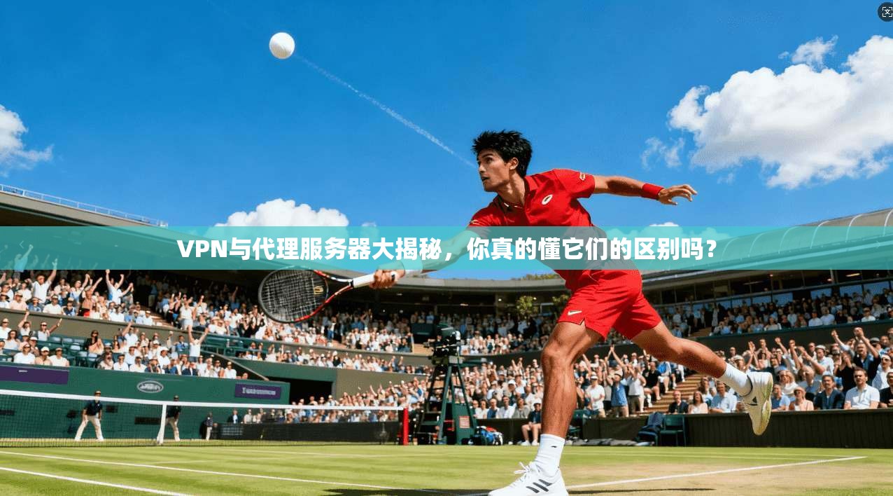 VPN与代理服务器大揭秘，你真的懂它们的区别吗？