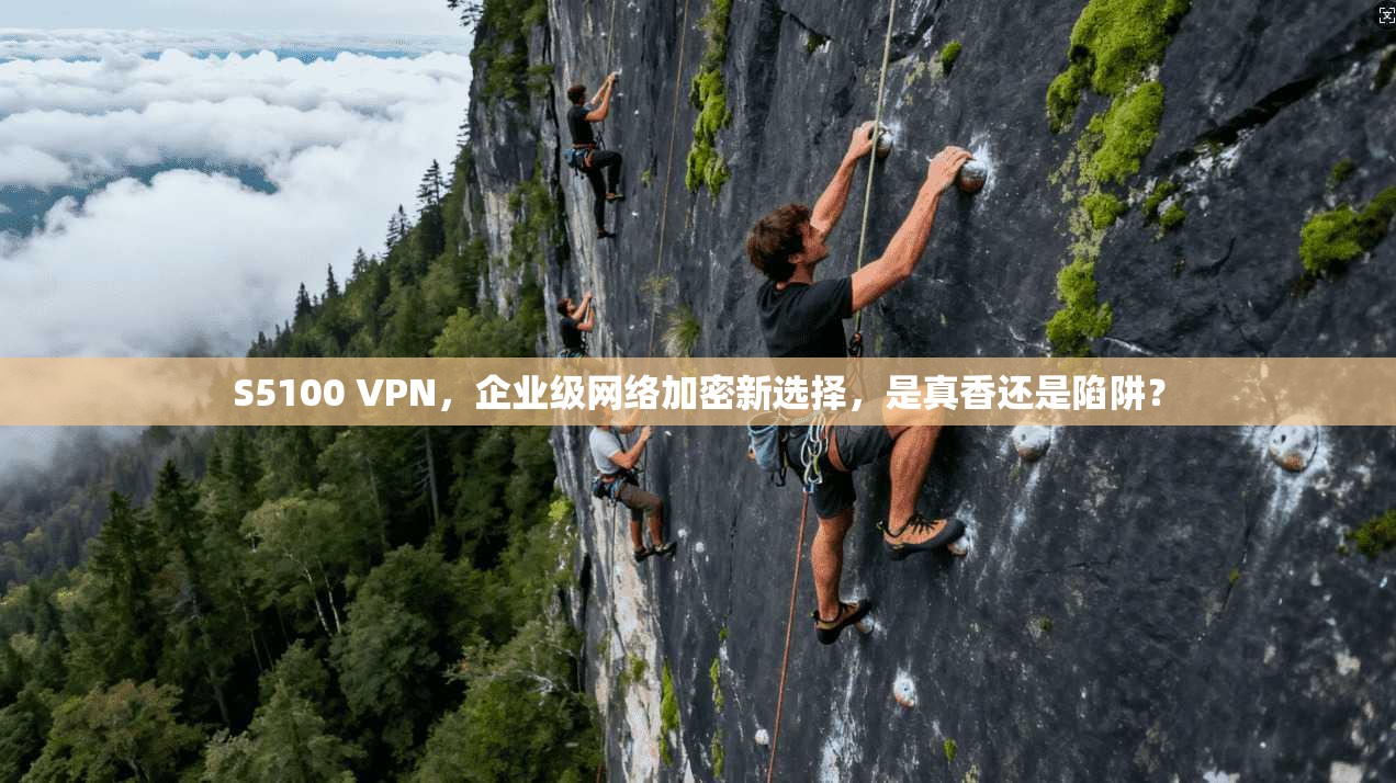 S5100 VPN，企业级网络加密新选择，是真香还是陷阱？