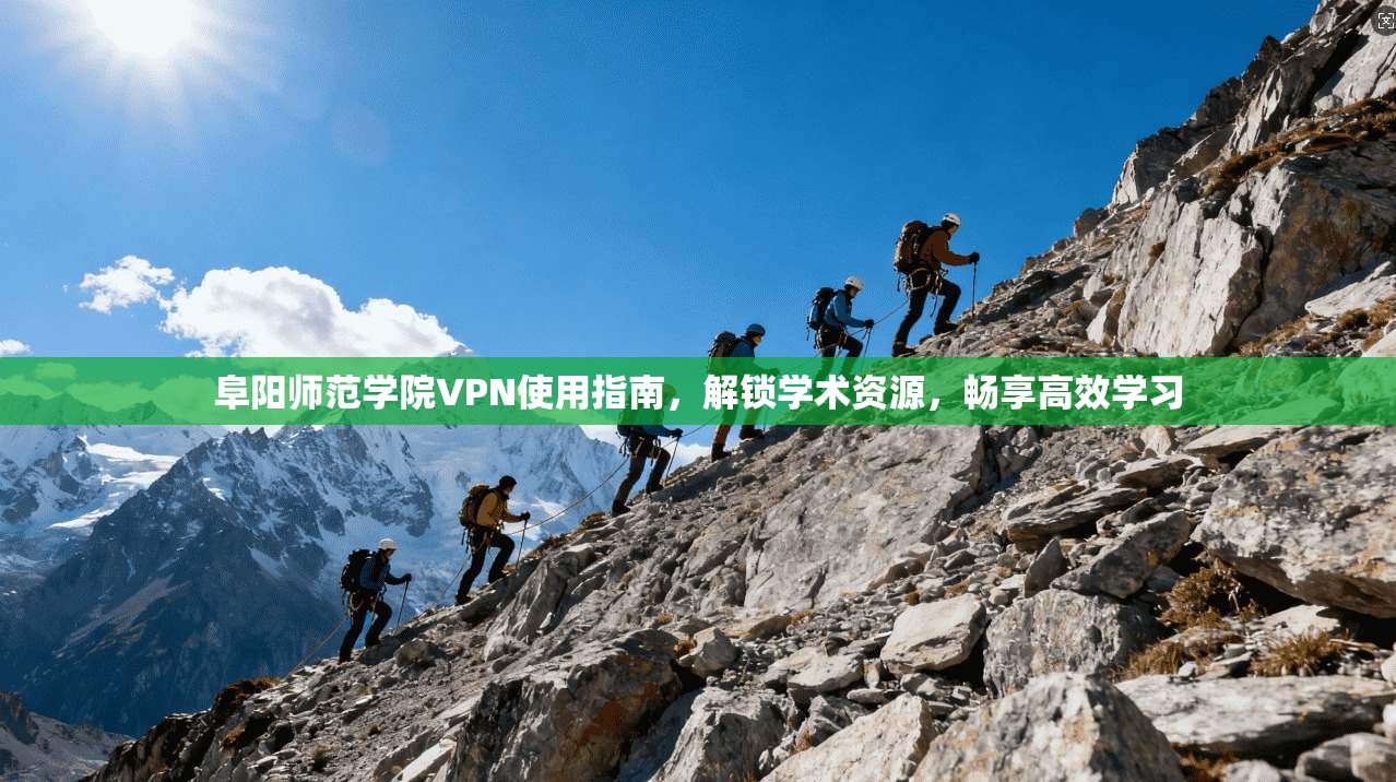 阜阳师范学院VPN使用指南，解锁学术资源，畅享高效学习