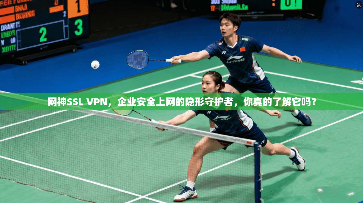 网神SSL VPN，企业安全上网的隐形守护者，你真的了解它吗？