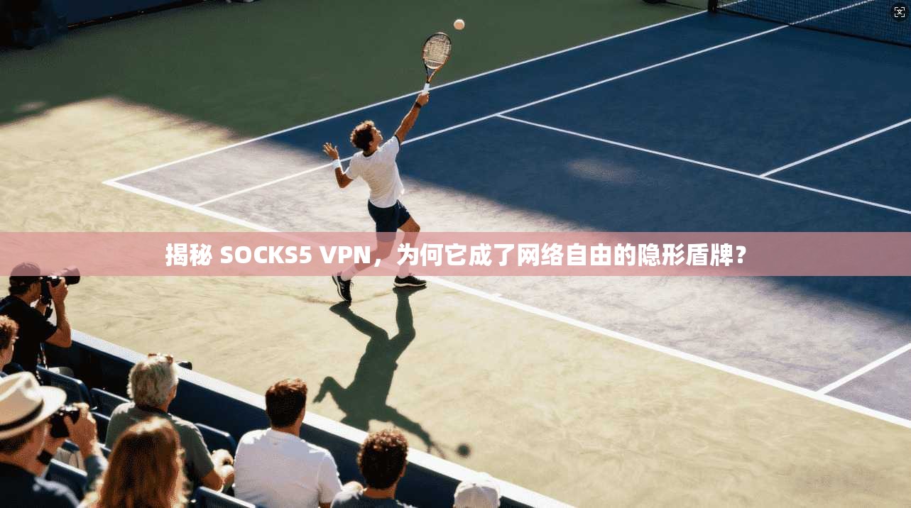 揭秘 SOCKS5 VPN，为何它成了网络自由的隐形盾牌？