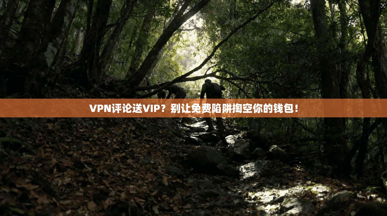 VPN评论送VIP？别让免费陷阱掏空你的钱包！