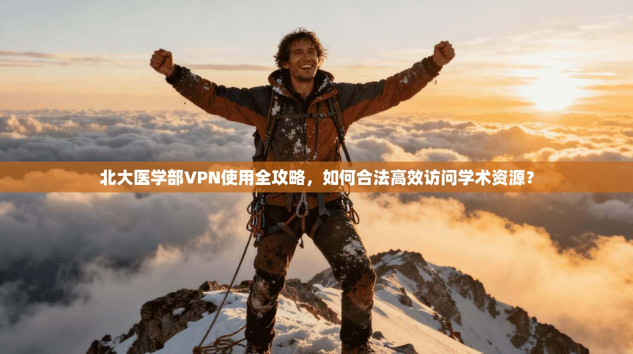 北大医学部VPN使用全攻略，如何合法高效访问学术资源？