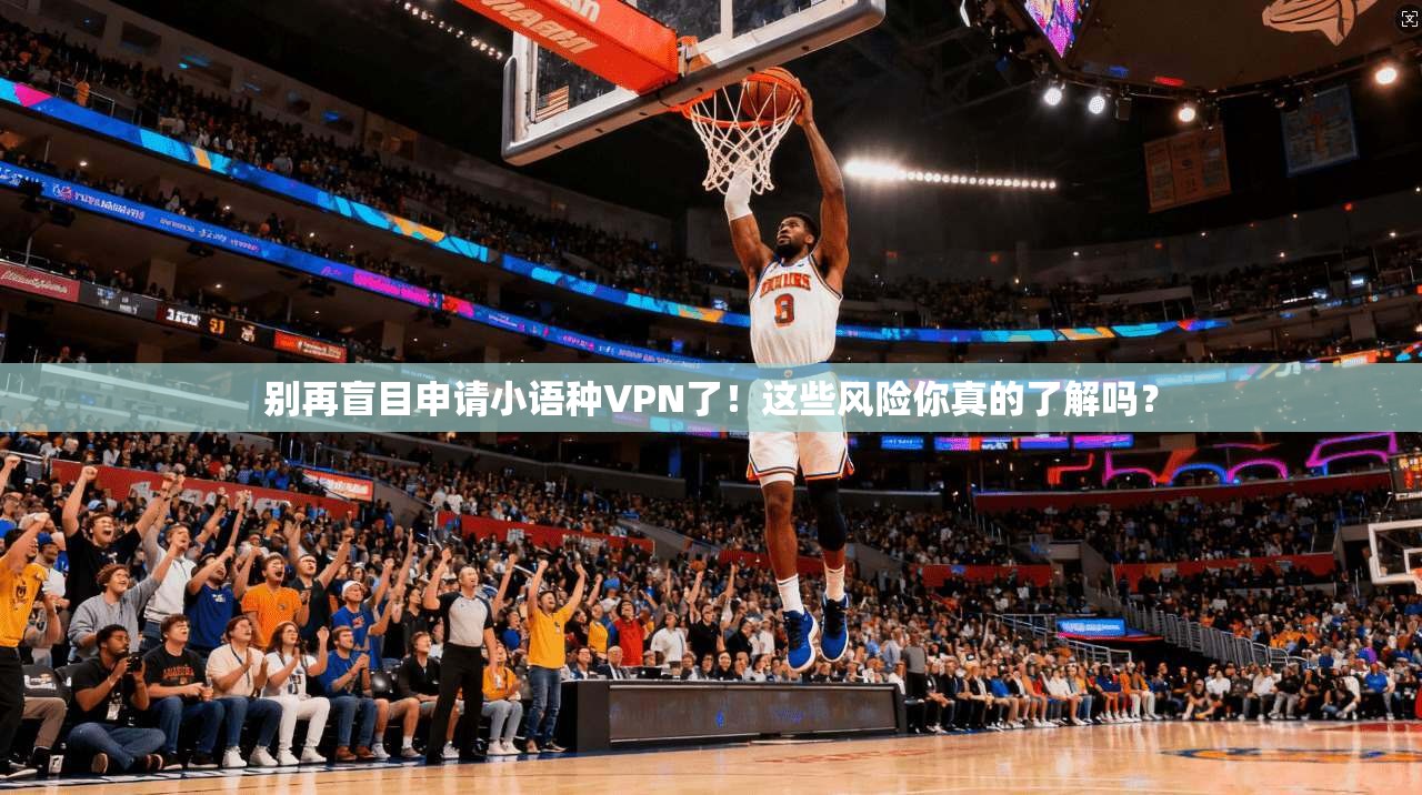 别再盲目申请小语种VPN了！这些风险你真的了解吗？