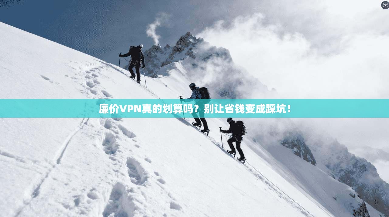 廉价VPN真的划算吗？别让省钱变成踩坑！