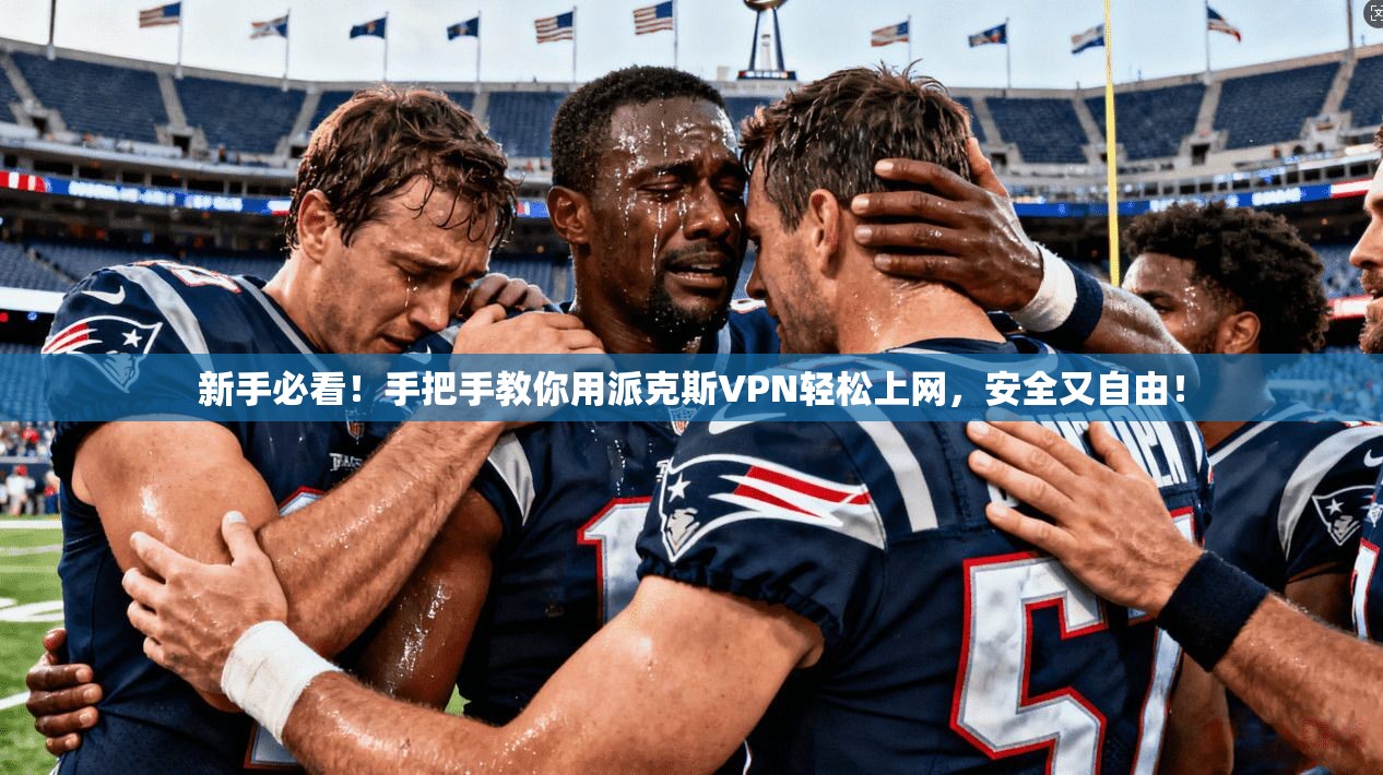 新手必看！手把手教你用派克斯VPN轻松上网，安全又自由！