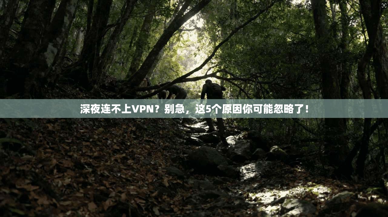 深夜连不上VPN？别急，这5个原因你可能忽略了！