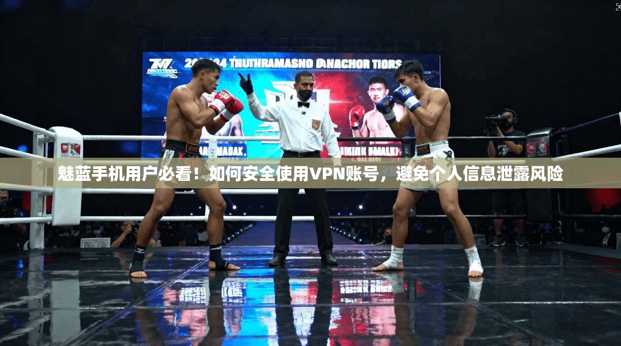 魅蓝手机用户必看！如何安全使用VPN账号，避免个人信息泄露风险