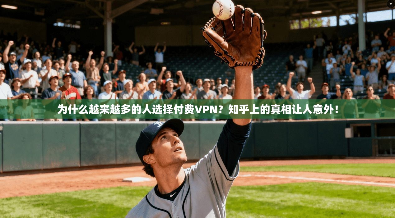 为什么越来越多的人选择付费VPN？知乎上的真相让人意外！