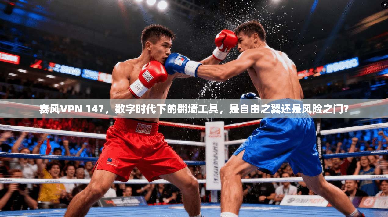 赛风VPN 147，数字时代下的翻墙工具，是自由之翼还是风险之门？