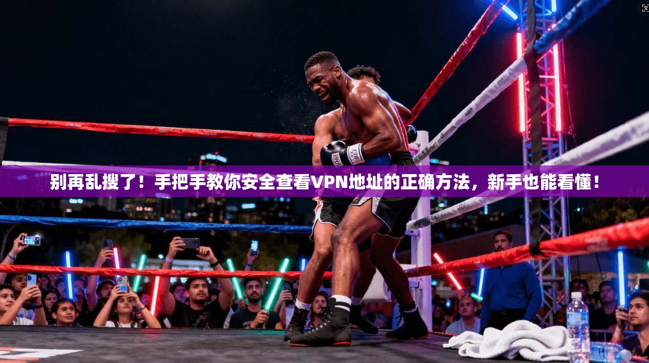 别再乱搜了！手把手教你安全查看VPN地址的正确方法，新手也能看懂！