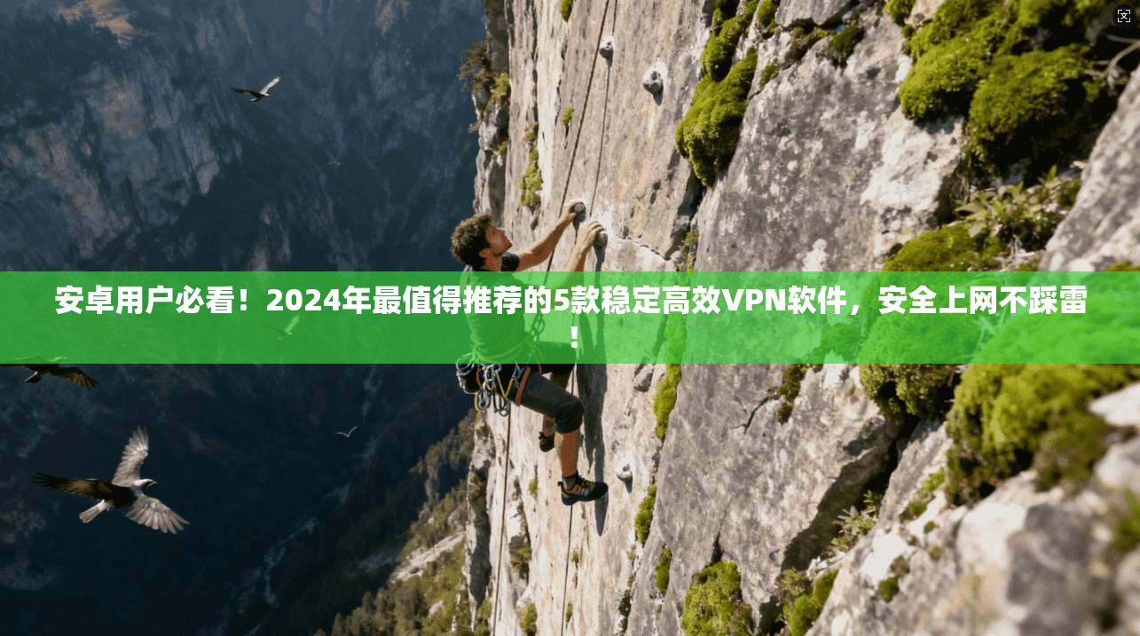 安卓用户必看！2024年最值得推荐的5款稳定高效VPN软件，安全上网不踩雷！