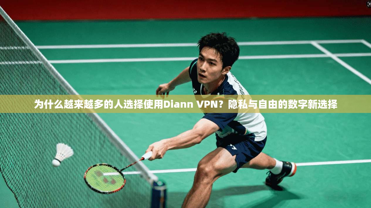 为什么越来越多的人选择使用Diann VPN？隐私与自由的数字新选择