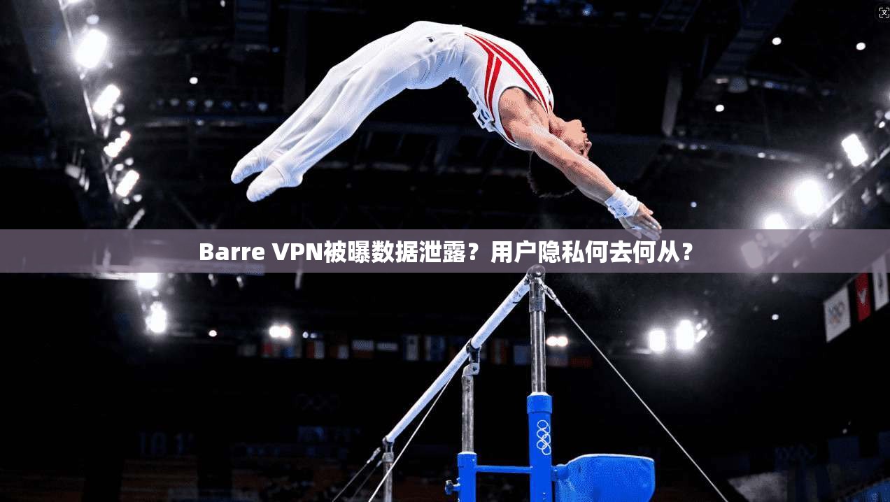 Barre VPN被曝数据泄露？用户隐私何去何从？
