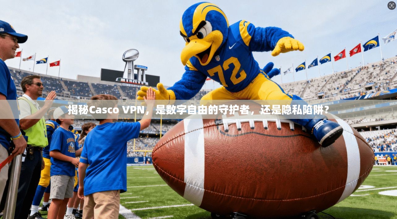 揭秘Casco VPN，是数字自由的守护者，还是隐私陷阱？