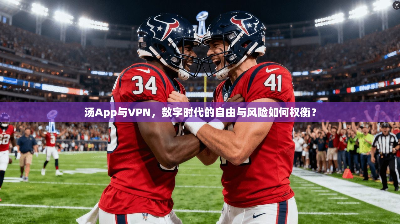 汤App与VPN，数字时代的自由与风险如何权衡？