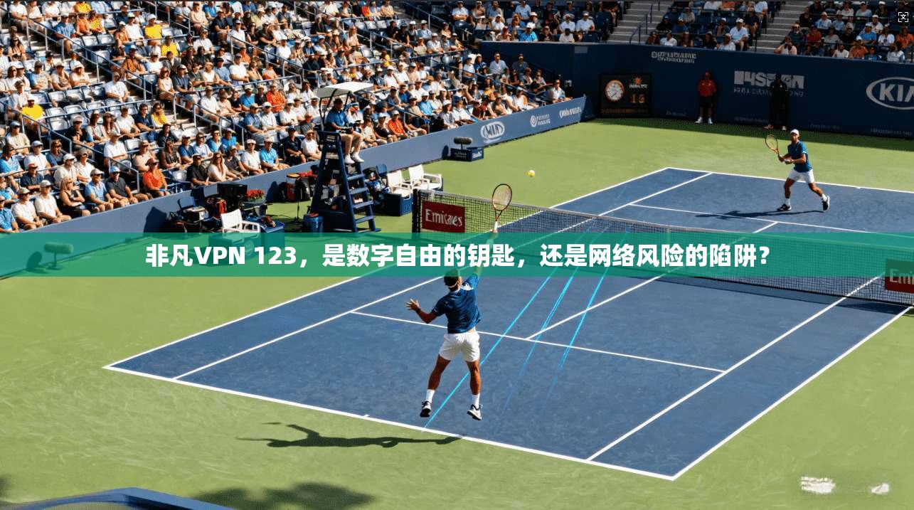 非凡VPN 123，是数字自由的钥匙，还是网络风险的陷阱？