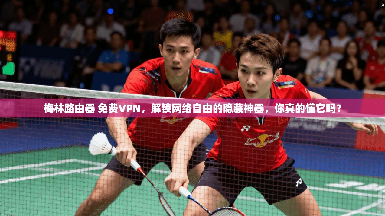 梅林路由器 免费VPN，解锁网络自由的隐藏神器，你真的懂它吗？
