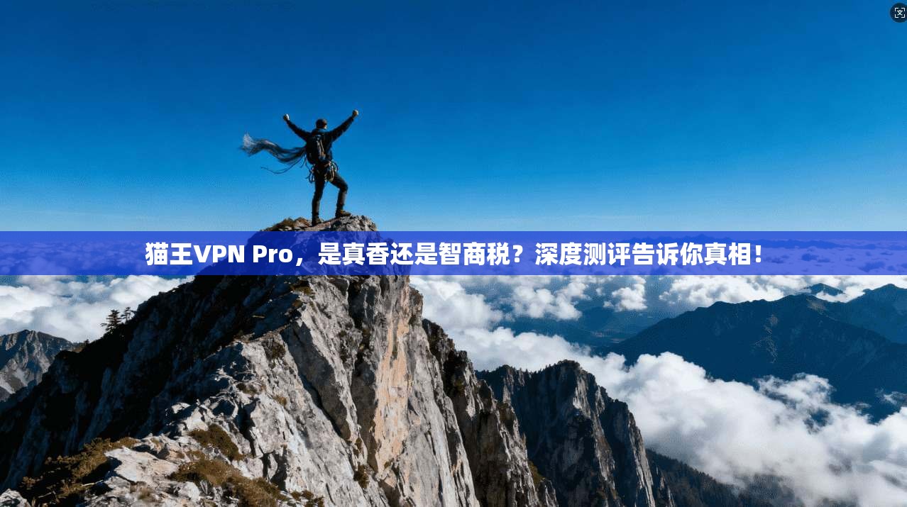 猫王VPN Pro，是真香还是智商税？深度测评告诉你真相！