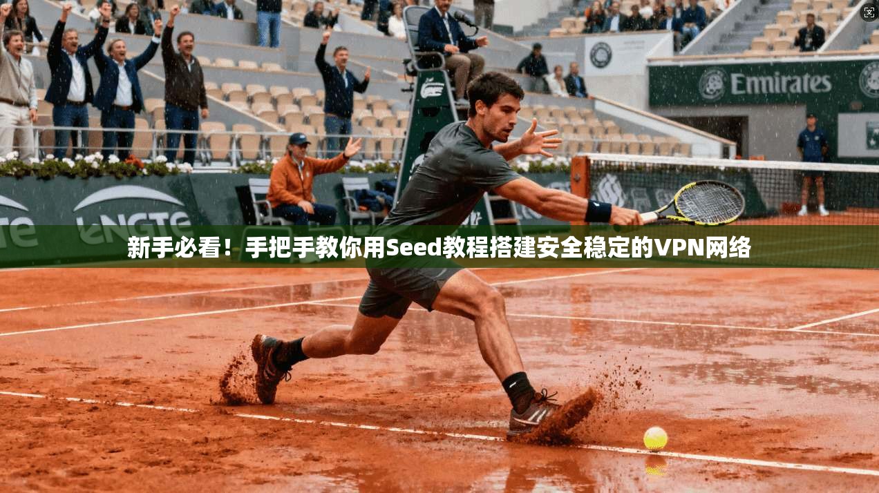 新手必看！手把手教你用Seed教程搭建安全稳定的VPN网络