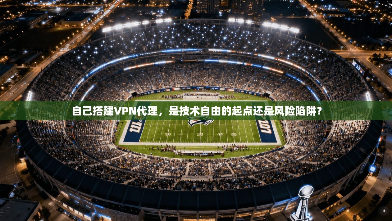 自己搭建VPN代理，是技术自由的起点还是风险陷阱？