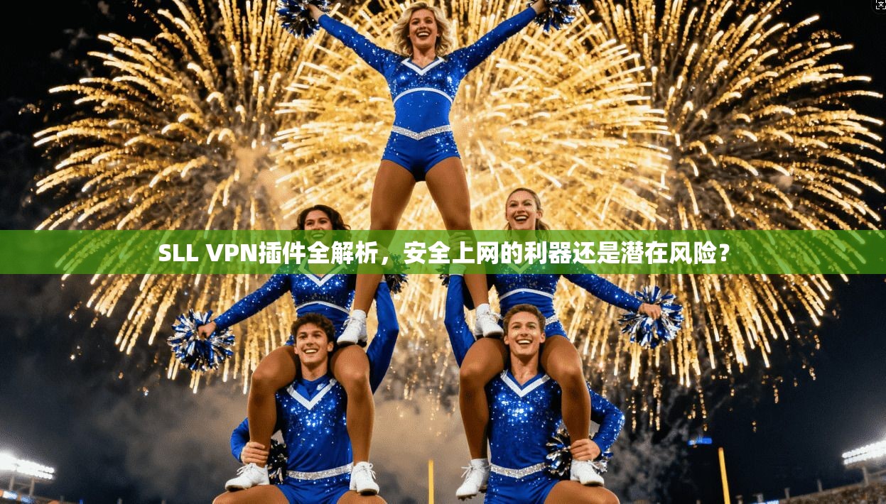SLL VPN插件全解析，安全上网的利器还是潜在风险？