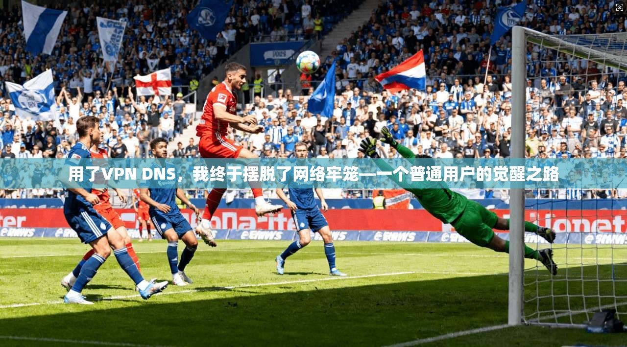 用了VPN DNS，我终于摆脱了网络牢笼—一个普通用户的觉醒之路