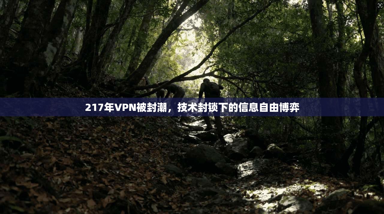 217年VPN被封潮，技术封锁下的信息自由博弈