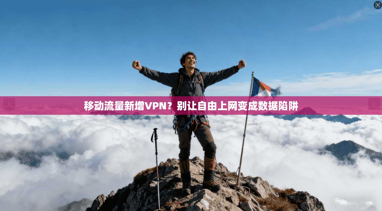 移动流量新增VPN？别让自由上网变成数据陷阱