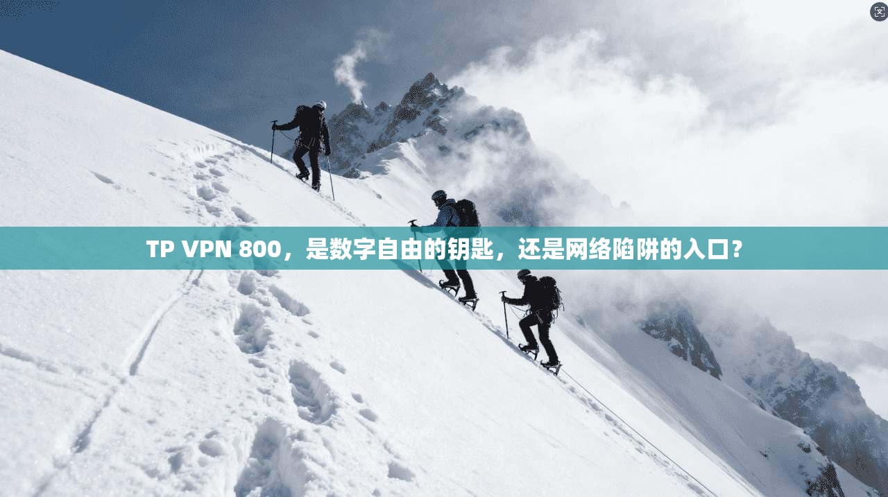 TP VPN 800，是数字自由的钥匙，还是网络陷阱的入口？