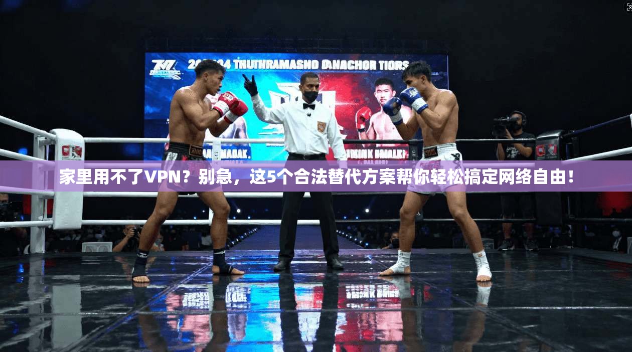 家里用不了VPN？别急，这5个合法替代方案帮你轻松搞定网络自由！