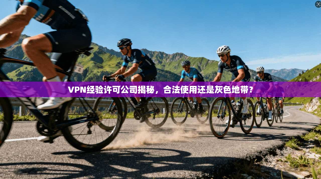 VPN经验许可公司揭秘，合法使用还是灰色地带？