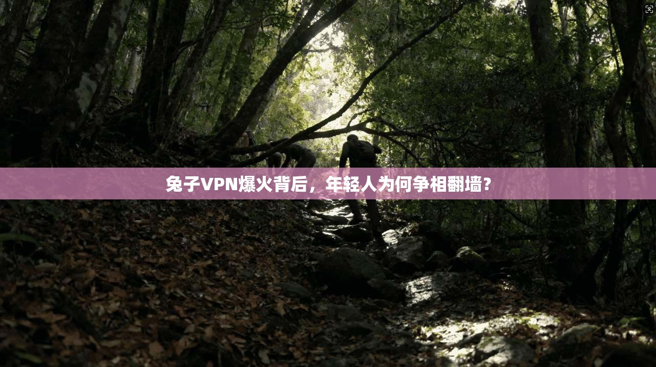 兔子VPN爆火背后，年轻人为何争相翻墙？
