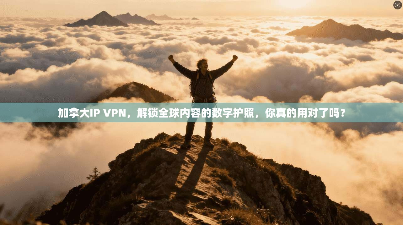 加拿大IP VPN，解锁全球内容的数字护照，你真的用对了吗？